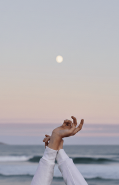 Manifestor Masterclass